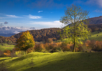 Beautiful Autumn Landscape in Garrotxa, Catalonia
