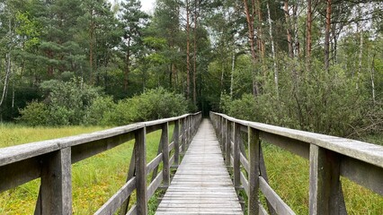 Fototapeta na wymiar wooden footbridge passing through peat bog and swamp