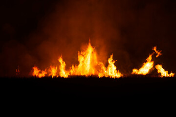 Fototapeta na wymiar The flames were burning violently in the night fields.