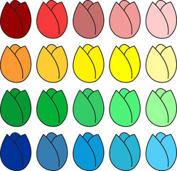 a collection of beautiful colorful flower buds