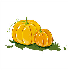 Pumpkin, squash and pumpkin vegetable cartoon icons. Orange and yellow autumn pumpkins with green leaves are isolated with vector symbols for agricultural harvest, Thanksgiving or Halloween design