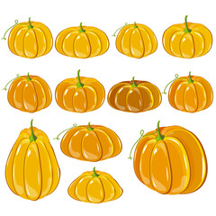 Pumpkin, squash and pumpkin vegetable cartoon icons. Orange and yellow autumn pumpkins with green leaves are isolated with vector symbols for agricultural harvest, Thanksgiving or Halloween design