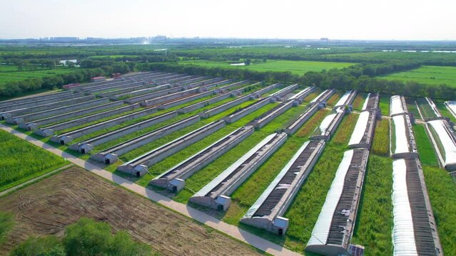 Aerial photo of greenhouses plantation in Xiqing Country Park, Tianjin