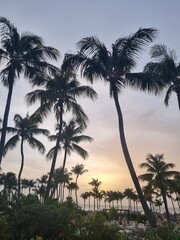 Amazing landscapes of Aruba Views of the Aruba island
