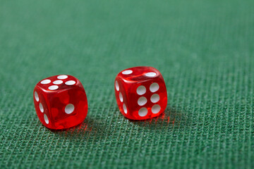 dice game on the green background
