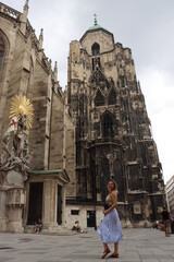 Fototapeta premium view from the roof of the Stephansdom Nordturm in Vienna