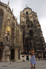 Fototapeta premium view from the roof of the Stephansdom Nordturm in Vienna
