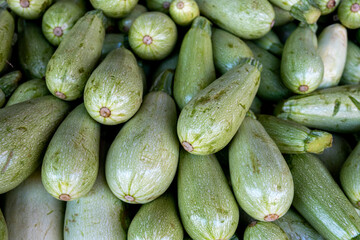 New harvest green zucchini sold at the farmers market