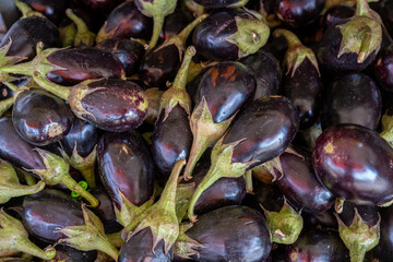 organic small eggplants sold at the city farmers market