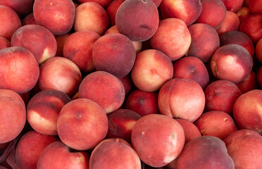 New harvest peaches for sale at the farmers market