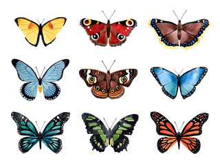 Fototapeta na wymiar Watercolor big butterflies set. Butterfly bright colorfull collection. Top view illustration. Isolated on transparent background.