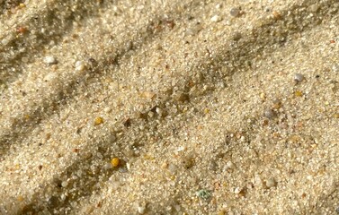 Sand texture. Sandy beach for background. Top view