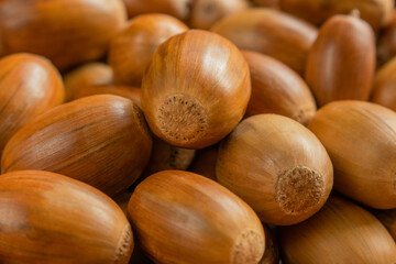 Obraz premium heap of acorns with acorn on top