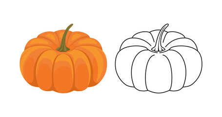 Pumpkin color flat illustration and outline. Vector vegetable simple icon set.