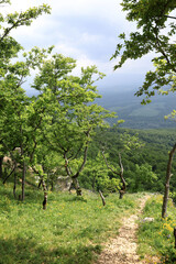 Fototapeta na wymiar View of path on Una-koz ridge in Caucasus