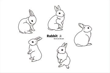 兎　モノクロ　立ち姿　セット