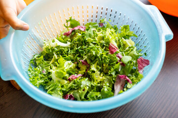 mix green leaf salads close up on kitchen table at home