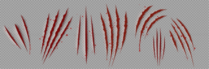 Bloody claw marks, realistic png set. 3D vector illustration of wild animal scretches on transparent background. Red signs of dangerous beast or scary monster attack. Torn wound caused by sharp talon - obrazy, fototapety, plakaty