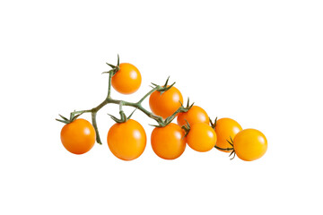 An isolated branch of ripe cherry tomatoes on a white background.