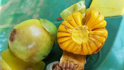 Dengen fruit is a seasonal fruit, the taste is very sour. The acid contained in this dengen fruit is an electrolyte, meaning it can conduct electricity. So, basically this dengen fruit can be processe