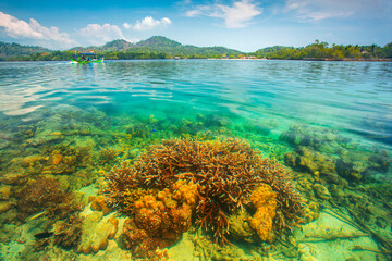 enjoy a tropical beach vacation. enjoy the beauty of coral reefs. Indonesian landscapes tropical beaches.
