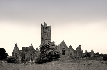 Quin Abbey, County Clare, Ireland. Founded by the Franciscan order in 1433. - obrazy, fototapety, plakaty