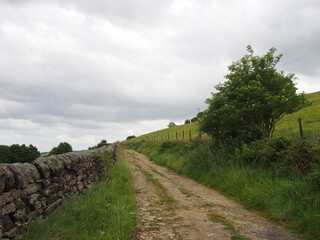 Fototapeta na wymiar Narrow dirt lane running alongside a dry stone wall surrounded hillside meadows in calderdale west yorkshire