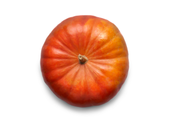 A top view of a ripe orange pumpkin isolated on a flat background.