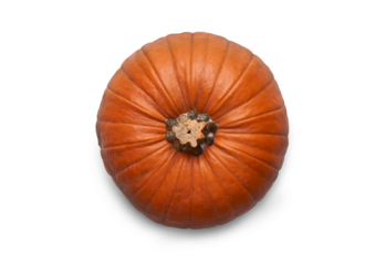 A top view of a ripe orange pumpkin isolated on a flat background.
