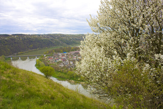 Zalischiki Bilder Durchsuchen 34 Archivfotos, und