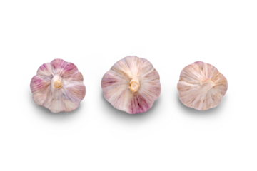 Garlic bulb Isolated against a flat background.