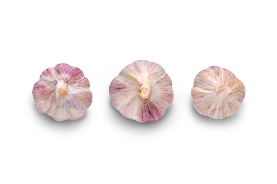 Garlic bulb Isolated against a flat background.