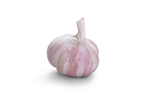 Garlic bulb Isolated against a flat background.