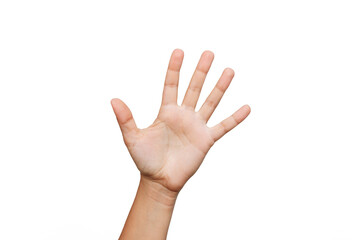 Female hand showing five fingers sign isolated on white background. The woman shows her palm. Greeting hand sign