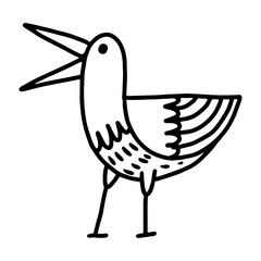 bird hand drawn illustration