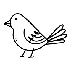 bird hand drawn illustration