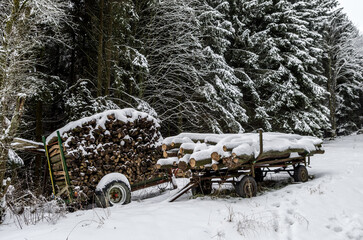 snow covered trees and fire wood