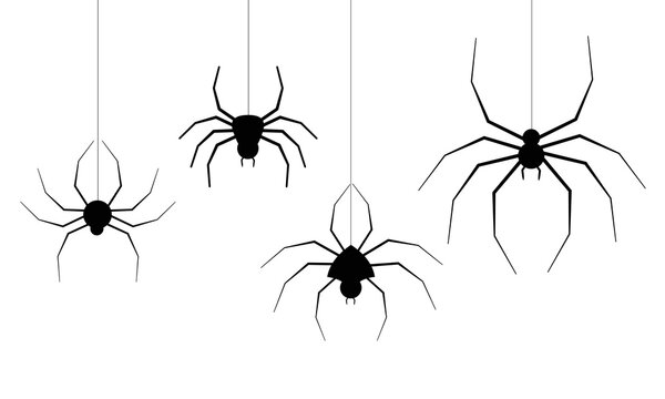 halloween spider's web vector. black spider on white background. danger insect. horror banner, scary poster. cobweb isolated decoration stock illustration. october holiday flyer