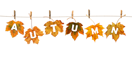 Maple leaves on clothespins with the word autumn