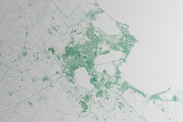 Map of the streets of Tunis (Tunisia) made with green lines on white paper. 3d render, illustration