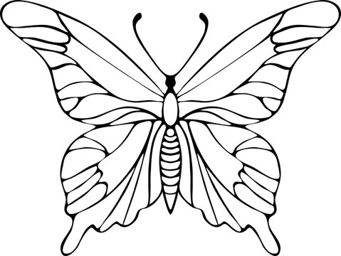Butterfly outline hand drawing doodle. PNG.