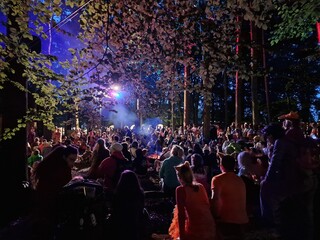 crowd at concert in the woods