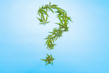 question mark made from cannabis leaves on a blue background