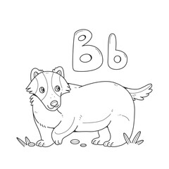 Badger coloring book with English big and small letters B. Children coloring pages alphabet. Outline illustration with an animal.
