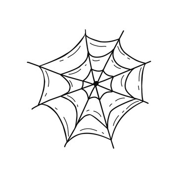 Decorative spider web in doodle style on background
