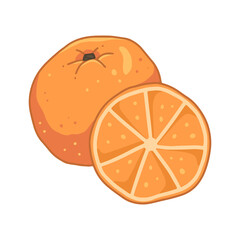 An orange and a slice of orange in cartoon style. Food fruit illustration.
