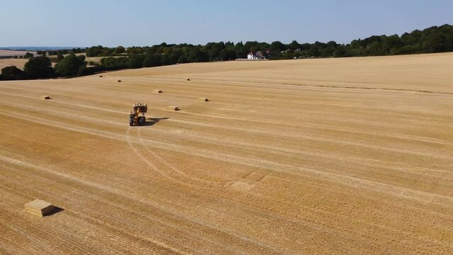 British Agricultural and Harvesting Fields Farms at Sunset Time. High Angle Footage taken with drone's camera on a hot summer day of England. Agricultural Farms and Working Machines at Dunstable Downs