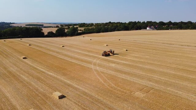 British Agricultural and Harvesting Fields Farms at Sunset Time. High Angle Footage taken with drone's camera on a hot summer day of England. Agricultural Farms and Working Machines at Dunstable Downs