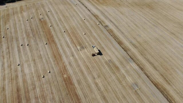 British Agricultural and Harvesting Fields Farms at Sunset Time. High Angle Footage taken with drone's camera on a hot summer day of England. Agricultural Farms and Working Machines at Dunstable Downs