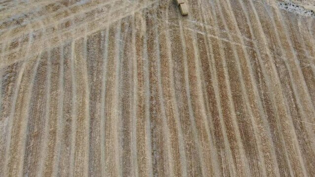 British Agricultural and Harvesting Fields Farms at Sunset Time. High Angle Footage taken with drone's camera on a hot summer day of England. Agricultural Farms and Working Machines at Dunstable Downs
